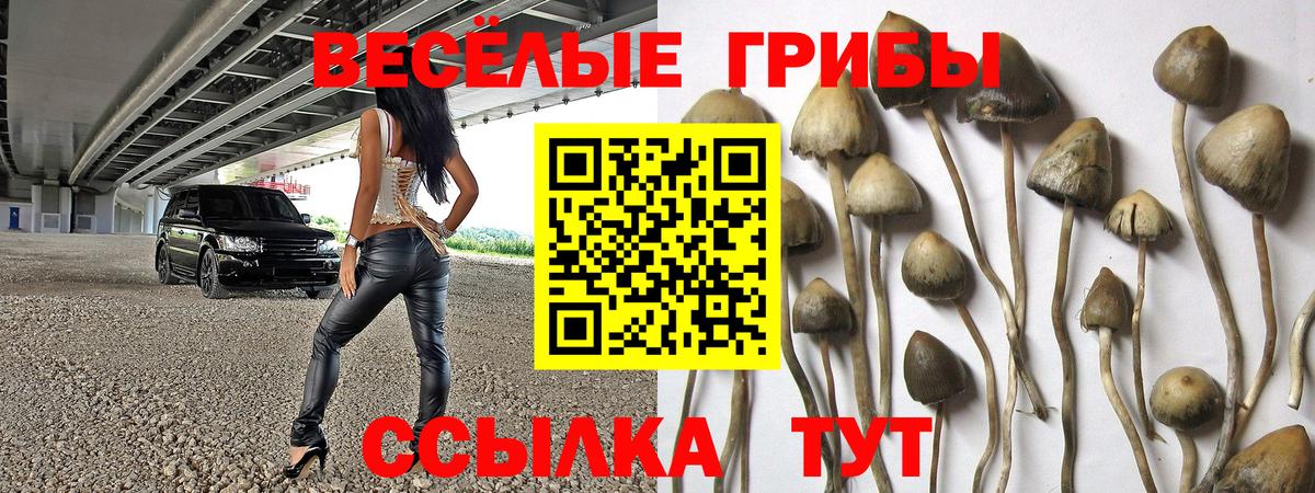 Галлюциногенные грибы Cubensis  Вход с VPN  Королёв  Псилоцибиновые грибы мицелий 