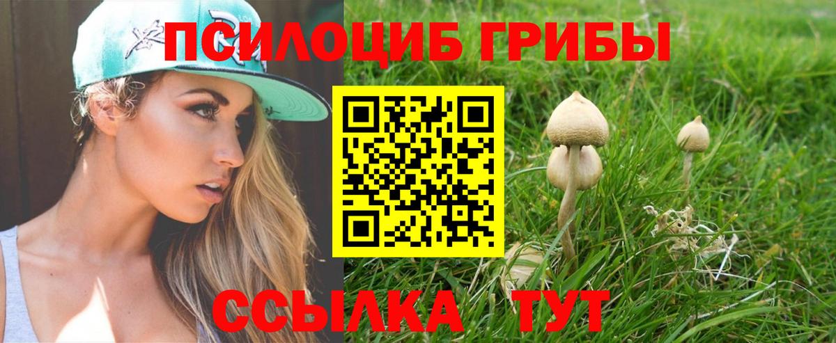 Галлюциногенные грибы ЛСД Королёв